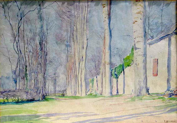 Chemin bordé d'arbre